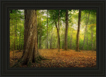 Load image into Gallery viewer, Oh How Lovely was the Morning