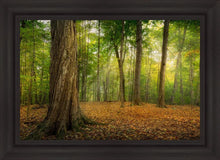 Load image into Gallery viewer, Oh How Lovely was the Morning