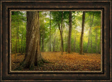 Load image into Gallery viewer, Oh How Lovely was the Morning