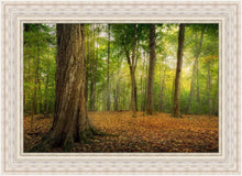 Load image into Gallery viewer, Oh How Lovely was the Morning