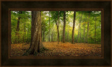 Load image into Gallery viewer, Oh How Lovely was the Morning