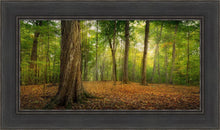 Load image into Gallery viewer, Oh How Lovely was the Morning