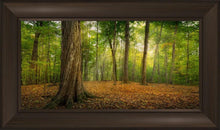 Load image into Gallery viewer, Oh How Lovely was the Morning