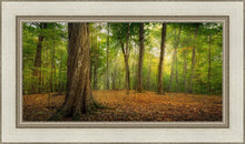 Load image into Gallery viewer, Oh How Lovely was the Morning