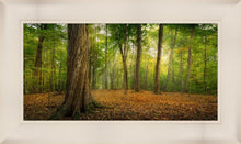 Load image into Gallery viewer, Oh How Lovely was the Morning