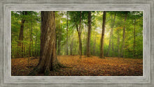 Load image into Gallery viewer, Oh How Lovely was the Morning