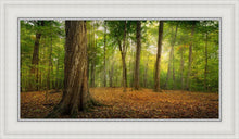 Load image into Gallery viewer, Oh How Lovely was the Morning