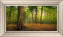 Load image into Gallery viewer, Oh How Lovely was the Morning