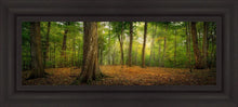 Load image into Gallery viewer, Oh How Lovely was the Morning
