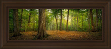 Load image into Gallery viewer, Oh How Lovely was the Morning