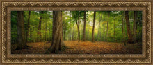 Load image into Gallery viewer, Oh How Lovely was the Morning