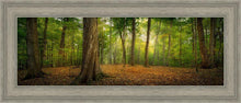 Load image into Gallery viewer, Oh How Lovely was the Morning