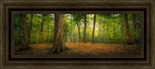 Load image into Gallery viewer, Oh How Lovely was the Morning