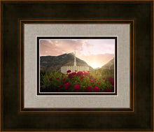 Load image into Gallery viewer, Provo Second Coming