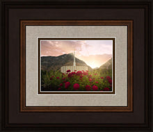Load image into Gallery viewer, Provo Second Coming