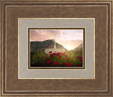 Load image into Gallery viewer, Provo Second Coming