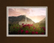Load image into Gallery viewer, Provo Second Coming
