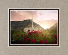 Load image into Gallery viewer, Provo Second Coming