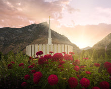 Load image into Gallery viewer, Provo Second Coming