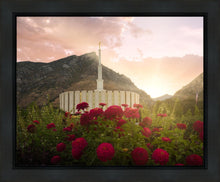 Load image into Gallery viewer, Provo Second Coming