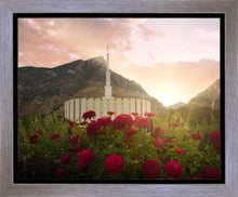 Load image into Gallery viewer, Provo Second Coming