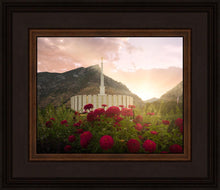 Load image into Gallery viewer, Provo Second Coming