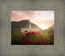 Load image into Gallery viewer, Provo Second Coming
