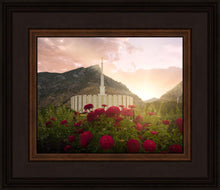 Load image into Gallery viewer, Provo Second Coming