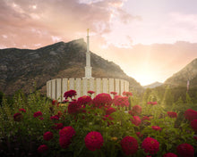 Load image into Gallery viewer, Provo Second Coming
