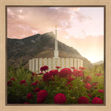 Load image into Gallery viewer, Provo Second Coming