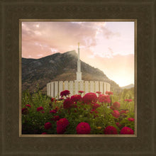 Load image into Gallery viewer, Provo Second Coming
