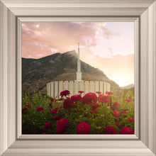 Load image into Gallery viewer, Provo Second Coming