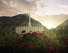 Load image into Gallery viewer, Provo Second Coming