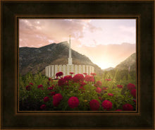 Load image into Gallery viewer, Provo Second Coming