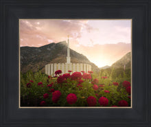Load image into Gallery viewer, Provo Second Coming