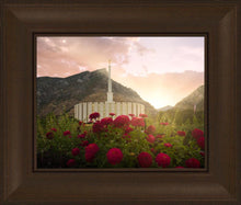 Load image into Gallery viewer, Provo Second Coming