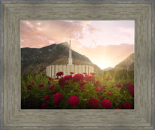 Load image into Gallery viewer, Provo Second Coming