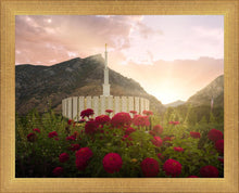 Load image into Gallery viewer, Provo Second Coming