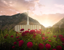 Load image into Gallery viewer, Provo Second Coming