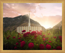 Load image into Gallery viewer, Provo Second Coming