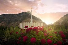 Load image into Gallery viewer, Provo Second Coming