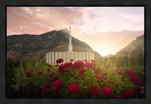 Load image into Gallery viewer, Provo Second Coming