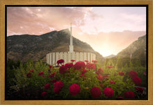 Load image into Gallery viewer, Provo Second Coming