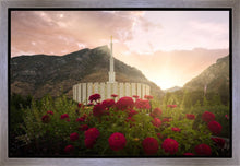 Load image into Gallery viewer, Provo Second Coming