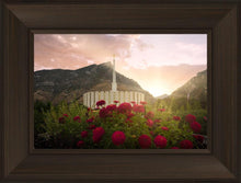 Load image into Gallery viewer, Provo Second Coming