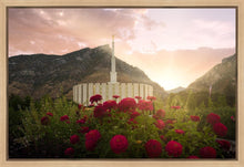 Load image into Gallery viewer, Provo Second Coming