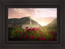 Load image into Gallery viewer, Provo Second Coming