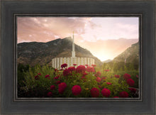 Load image into Gallery viewer, Provo Second Coming