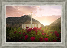 Load image into Gallery viewer, Provo Second Coming