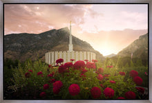 Load image into Gallery viewer, Provo Second Coming